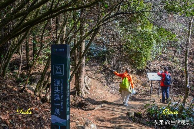 影记 | 衢州钱江源国家森林公园