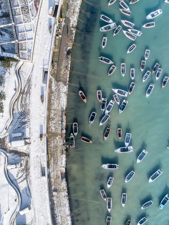 等了一年！烟威最浪漫的时刻，终于来了！