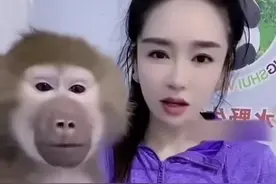 震惊！美女开美颜拍摄视频，猴哥反复确认蒙了，评论区麻了图片