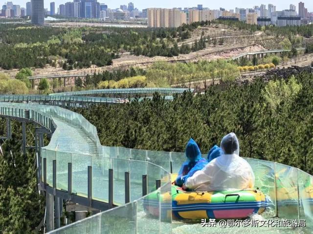 @你，鄂尔多斯植物园全攻略！暑期宝藏路线图！