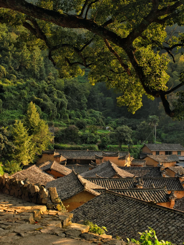 上海周边藏着7个清凉古村落，夏日均温二十多度，