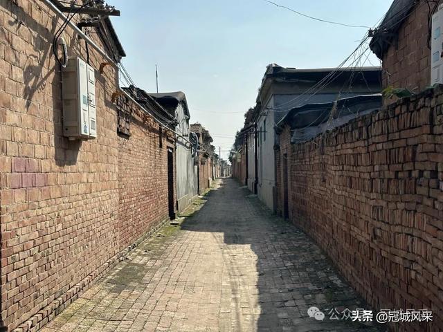 冠县乡韵·兰沃乡大柳邵村