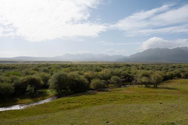 张掖山丹马场——祁连山脚下的大草原