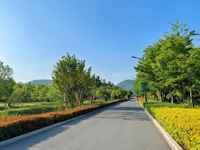 这是我认为南京最松弛的公园，被誉为“小瑞士”，吸氧遛娃能玩水
