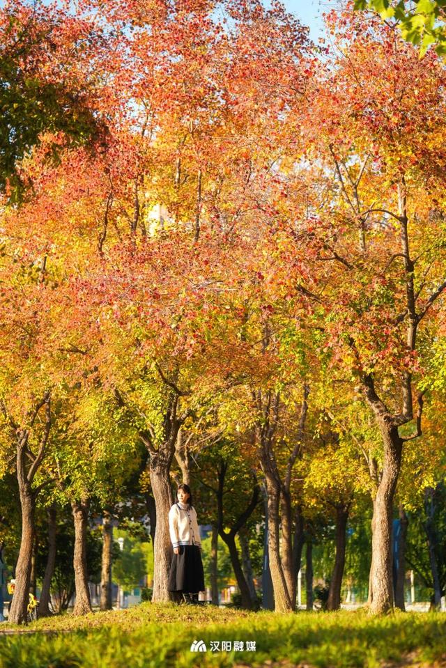 在汉阳的秋天，捡出一个灵感宝库