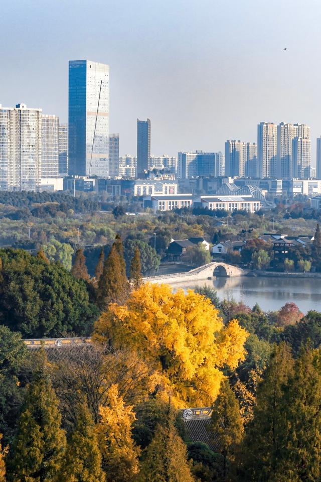 从百年古刹到水上森林：解锁上方山秋冬宝藏打卡地