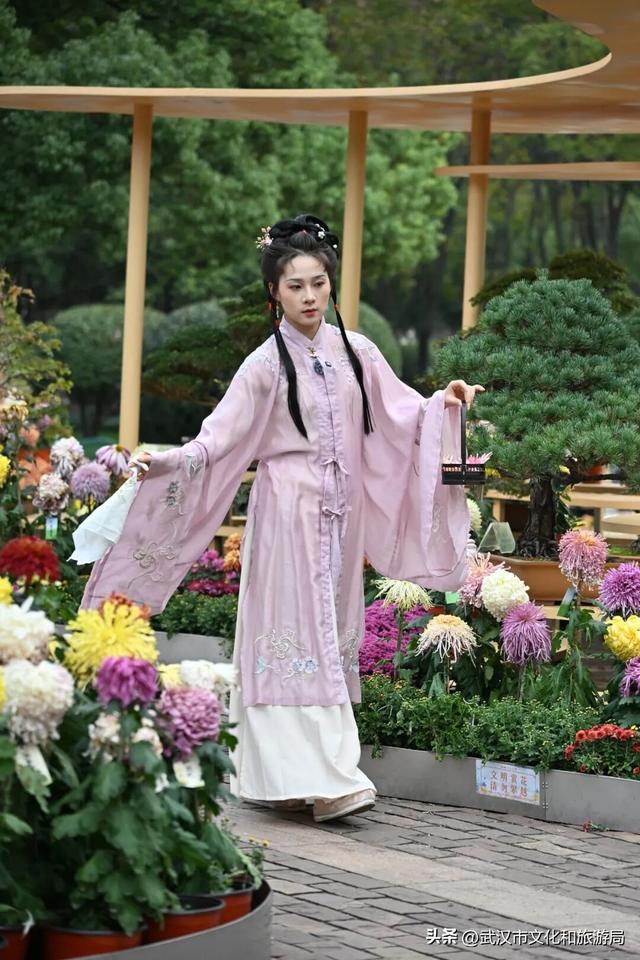 美到华妃都停步！最受欢迎的菊展打卡点就在这里