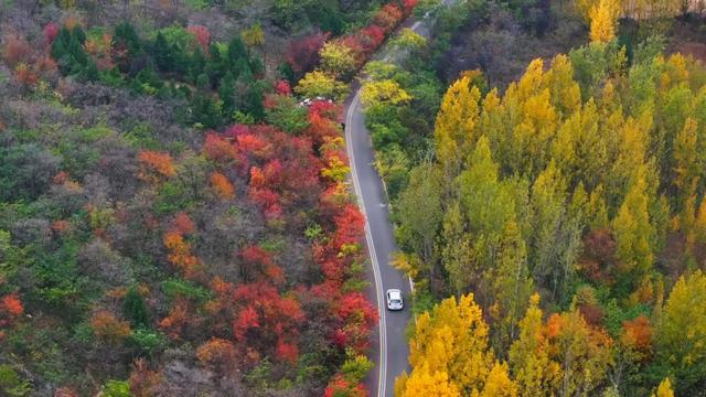 枣庄牛郎山，你怎么美成这样！！