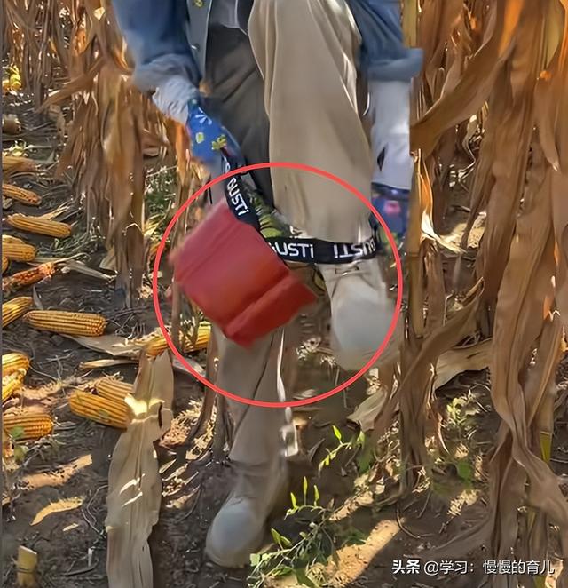 90后闺女：爹，我没带姑爷扒苞米！网友：雇个对象，晚上睡一张床