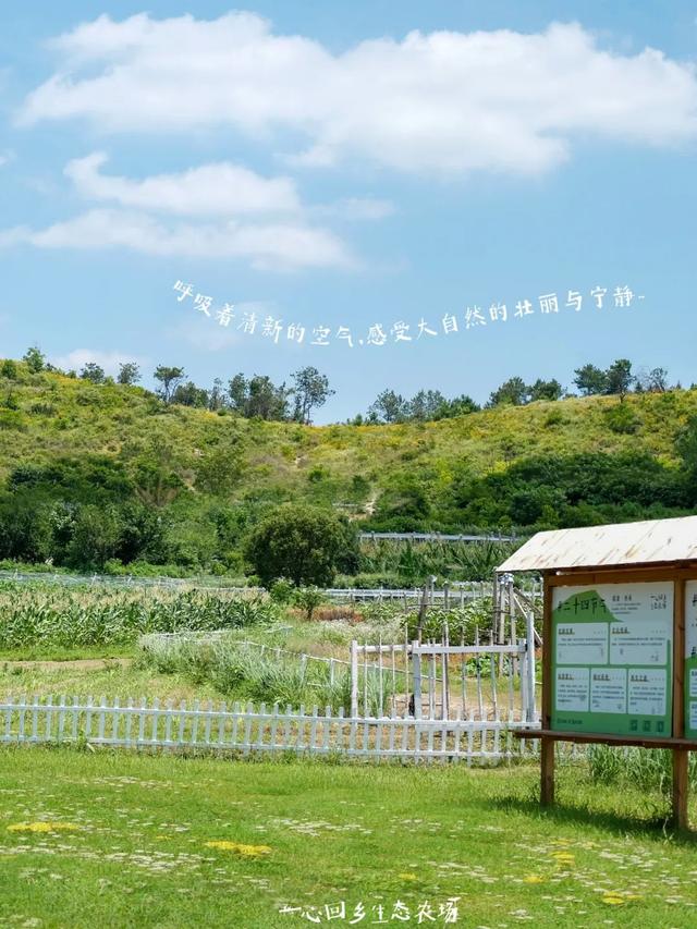 黄陂版《种地吧》太治愈了！