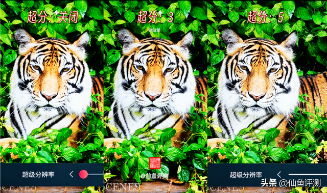 全干货！2025年海信电视满血玩机与购买指南