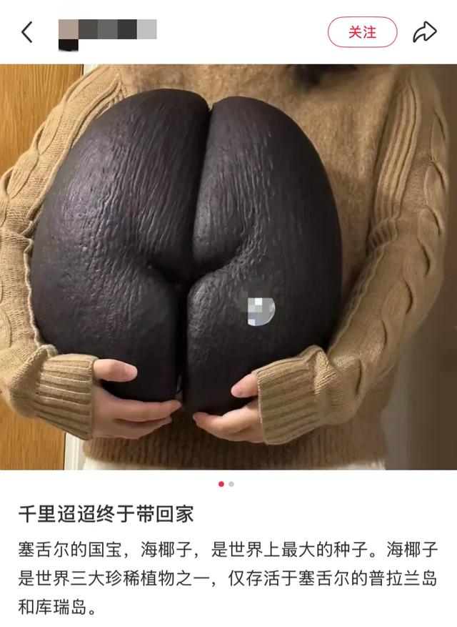 这可能是我买过的最离谱的特产: