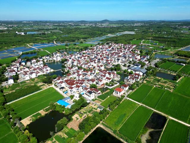 南京高淳桠溪：绿色生态田园 红色美丽乡村