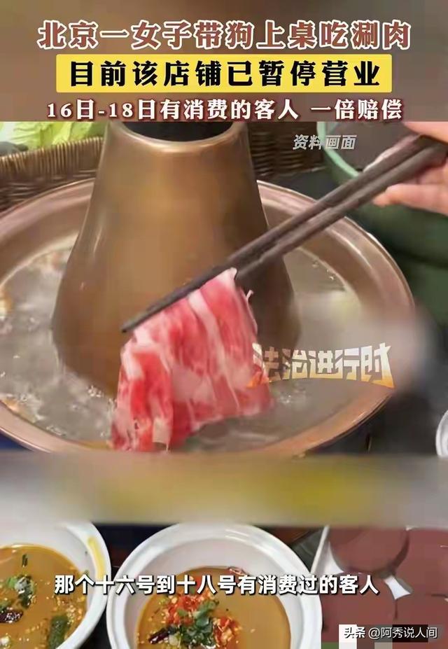 狗舔餐具事件新进展，品牌方将追究狗主人责任，网友：将近50万