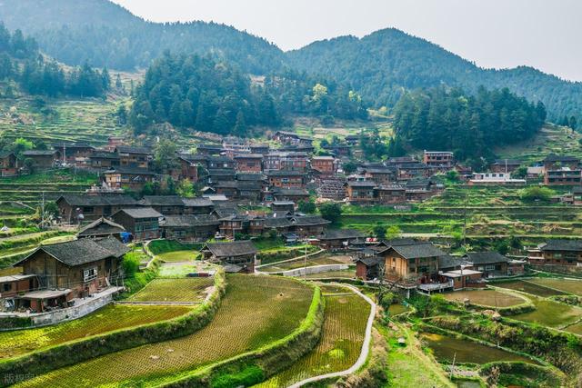 到山里去，8个森林环抱的好地方，过几天山居生活，回归纯粹