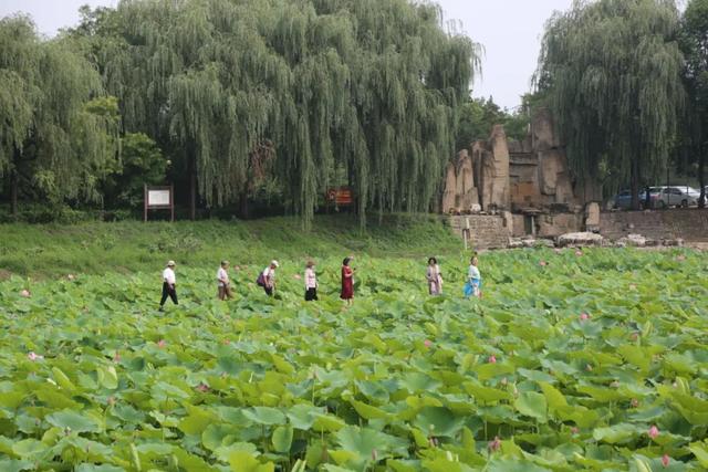 【文明旅游】太原：难老泉润稻荷香