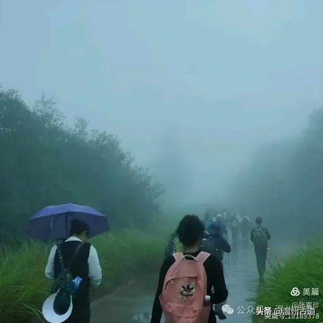 周末徒步去！这个有"温州版武功山"之称的名山，你可要去爬一次