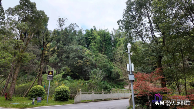 石刻景区惊现“逛gai”猴，工作人员：已关注，请勿打扰！