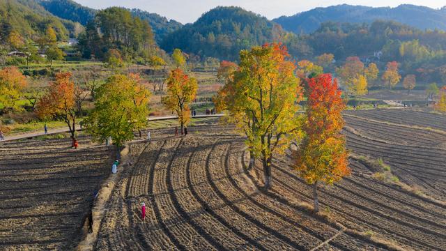 大别山中徐凤冲