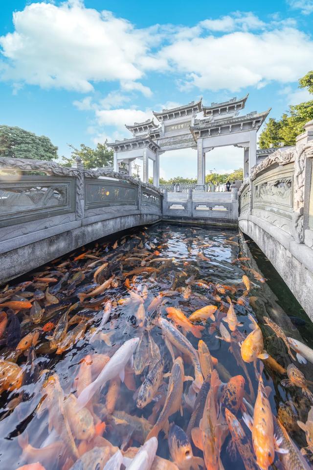 “禺”见好运!番禺这条“鳌”游线路,带你一键解锁小众打卡、非遗体验!