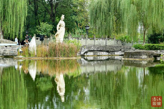 一“叶”知冬来！漫步仿古园林，解锁初冬浪漫