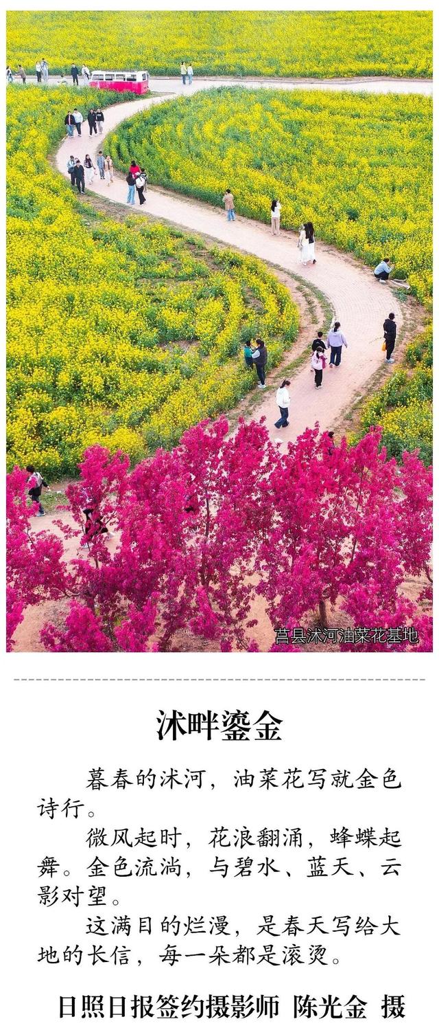 太好逛了！去了一批又一批！就在日照这些地方……