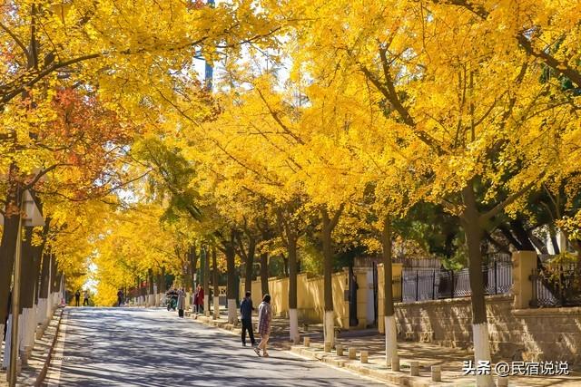 值吗！有人专程为雪中栈桥去一次青岛。