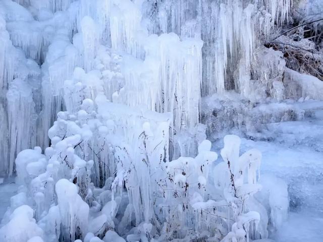 日照这里出现奇观，绝美！