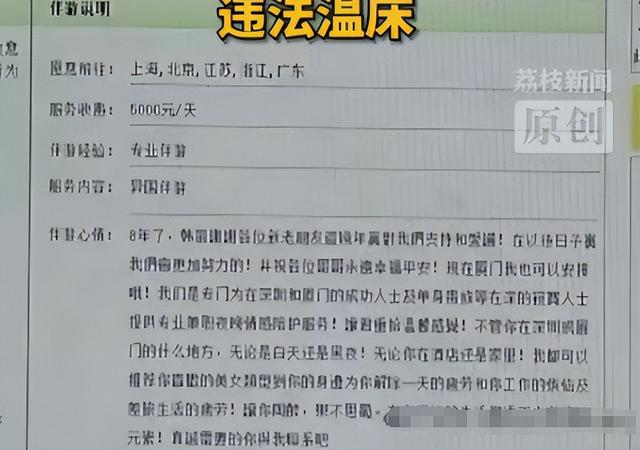 揭秘8000元过夜伴游，内幕曝光，明码标价、肮脏交易只是冰山一角