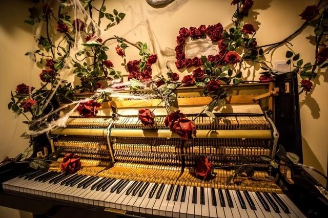 大连薇薇安民宿：藏在城市心脏的文化驿站，让旅行与生活温柔相拥