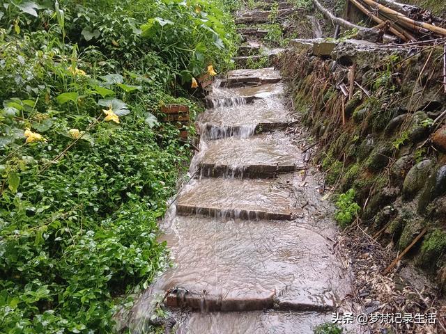 70多岁的老娘像个拼命三郎，一个人在雨天漫步拥抱大自然感觉不错