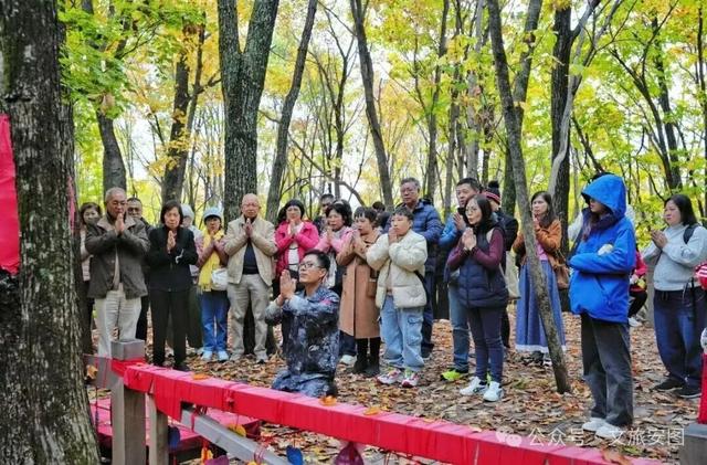 长白山第一村：赴一场秋日“参”宴