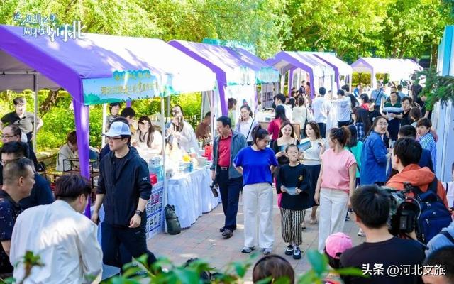 亮点抢先看！河北文旅放大招！在北京、天津玩“快闪”！还有各种惊喜等你来哦
