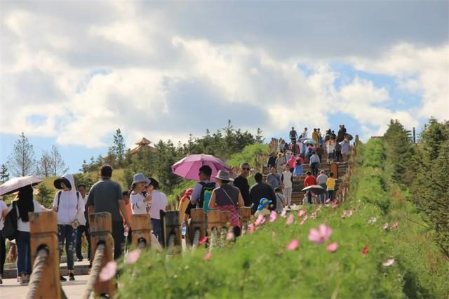 额尔古纳 | 文旅繁花竞芬芳 融合发展出新彩
