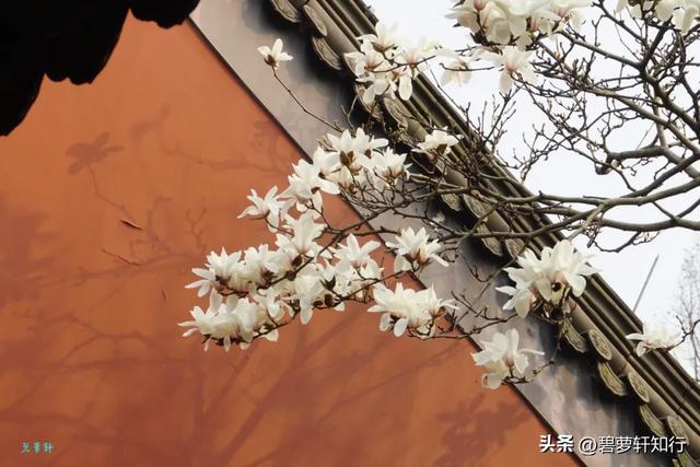 游杭州钱王祠:“钱塘自古繁华”由他开辟