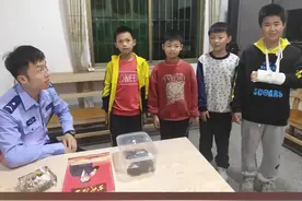 棒！小学生发现41年前曾灭绝的动物报警：系阳彩臂金龟图片