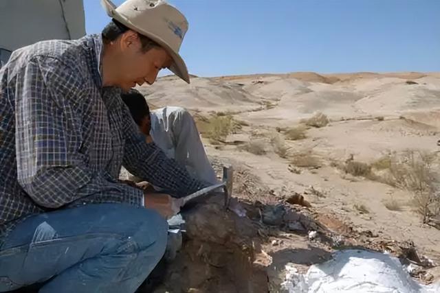 346万英镑拍走史前龙！窃蛋龙"斯派克"背后，科学家与富豪争夺战