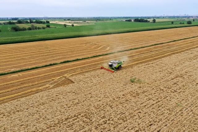 中国又创造了一大“奇迹”，14亿人将受益！让海外人士都惊呆了！