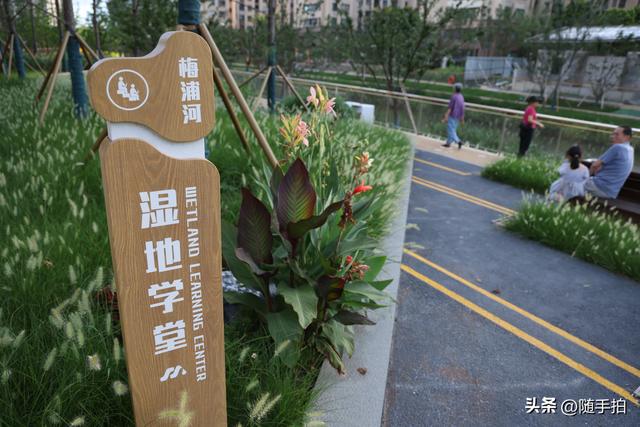 实拍江苏苏州昆山花桥梅浦河海绵城市公园，“会呼吸”的绿地