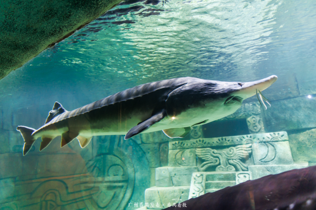 刷爆番禺人朋友圈的新地标，18000㎡的空间究竟藏着什么？