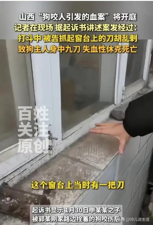 狗主人赵某晖态度大反转：曾威胁民警的她，竟然低头了！