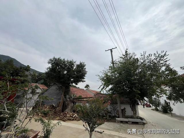 在邹平上回村可以攀爬摩诃峰，但俺没爬，俺买了农家菜打了山泉水
