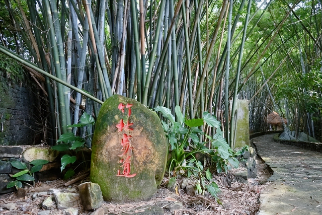 广西边境这座“三沿五点”城，一街跨两国，公交10元直达越南！