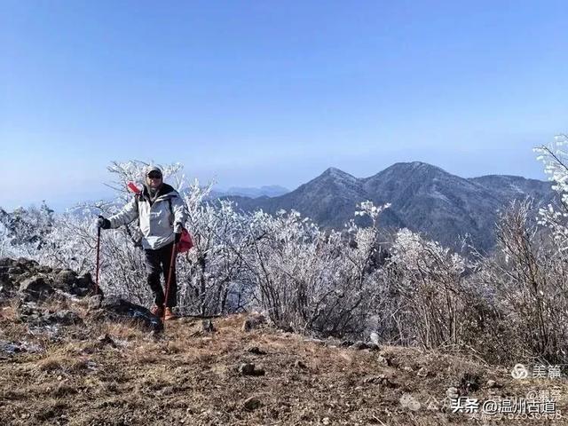 邂逅2026年的第一场醉美雾凇！温州四海山的雾凇美爆了！