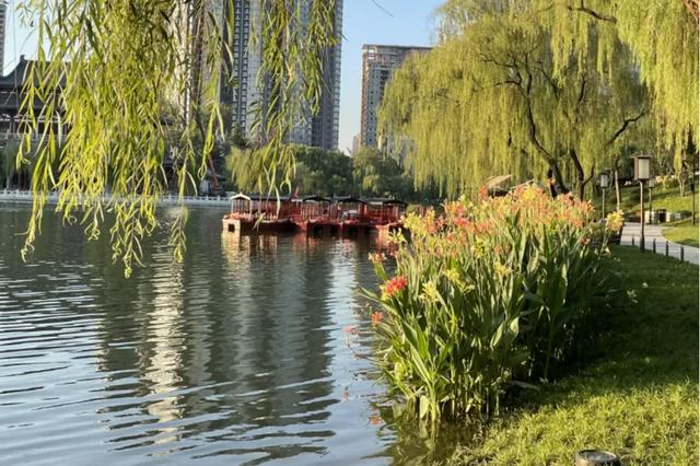 你好,夏天