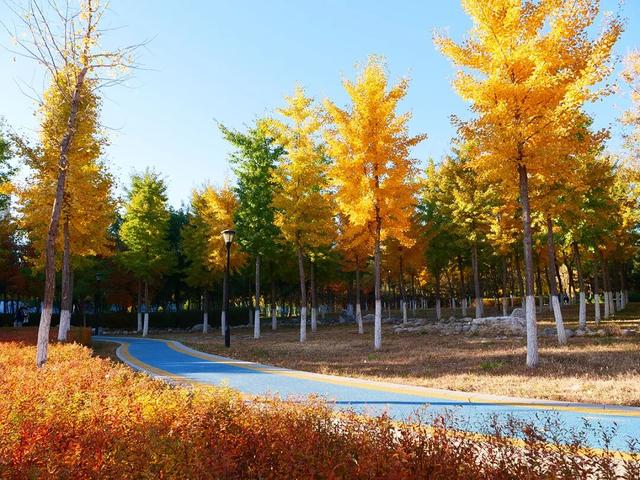 在顺义这些宝藏公园邂逅斑斓秋景——