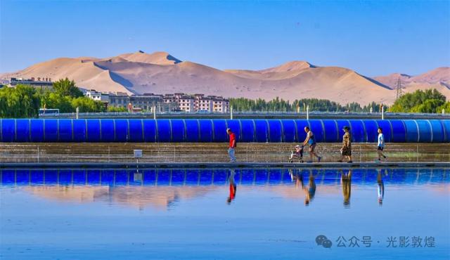 早晚凉风习习,敦煌党河风情线赏荷浪漫且惬意