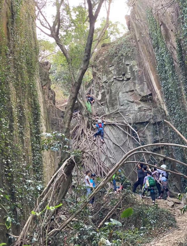 厦门东坪山蟒蛇壁，据说有人在此见过一大蟒蛇，大概名字由此而来
