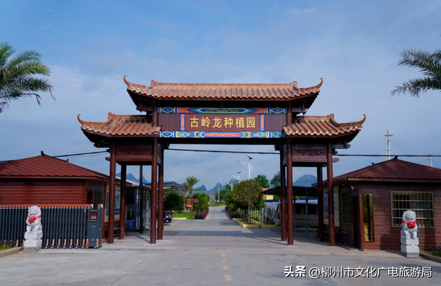 秋游柳州，赶一场穿山镇的烟火大圩~
