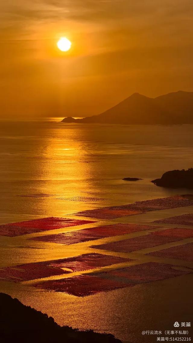 彩色旅图｜光影里的霞浦：滩涂、古树与渔排的诗意时光